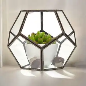 Glass Terrarium – Large Octagon | www.artisangoods.co.uk 1
