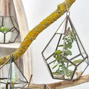 Glass Terrarium – Large Pentagon | www.artisangoods.co.uk 4