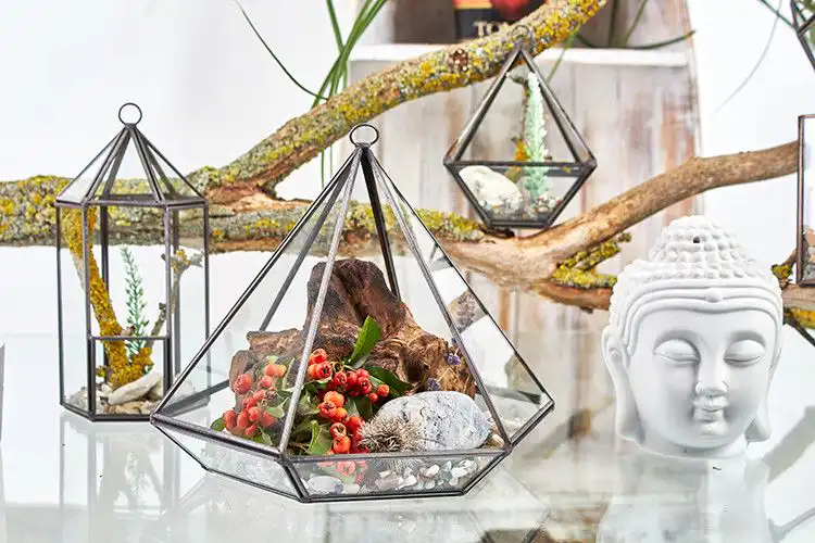 Glass Terrarium – Small Diamond | www.artisangoods.co.uk 7 Glass Terrarium – Small Diamond | www.artisangoods.co.uk 6