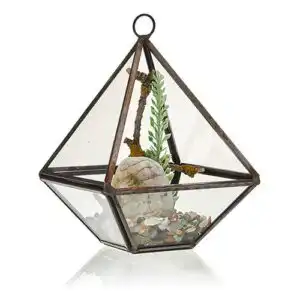 Glass Terrariums