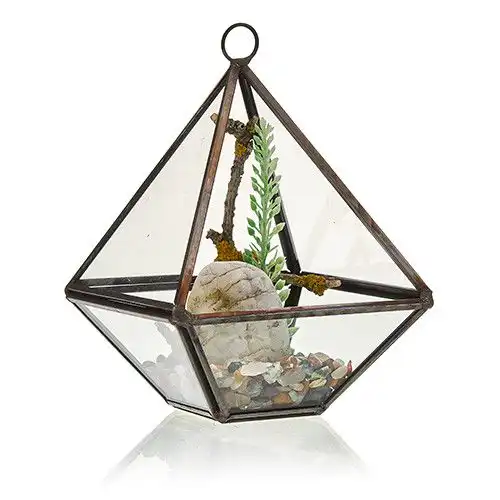 Glass Terrarium – Small Diamond | www.artisangoods.co.uk 4 Glass Terrarium – Small Diamond | www.artisangoods.co.uk 3