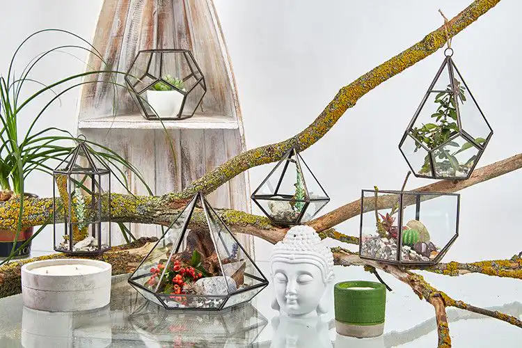 Glass Terrarium – Small Diamond | www.artisangoods.co.uk 5 Glass Terrarium – Small Diamond | www.artisangoods.co.uk 4