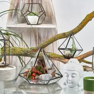 Glass Terrarium – Small Diamond | www.artisangoods.co.uk 5