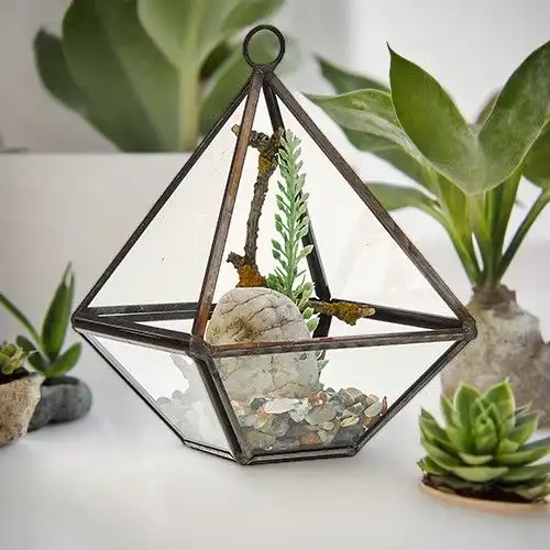 Glass Terrarium – Small Diamond | www.artisangoods.co.uk 2 Glass Terrarium – Small Diamond | www.artisangoods.co.uk 1