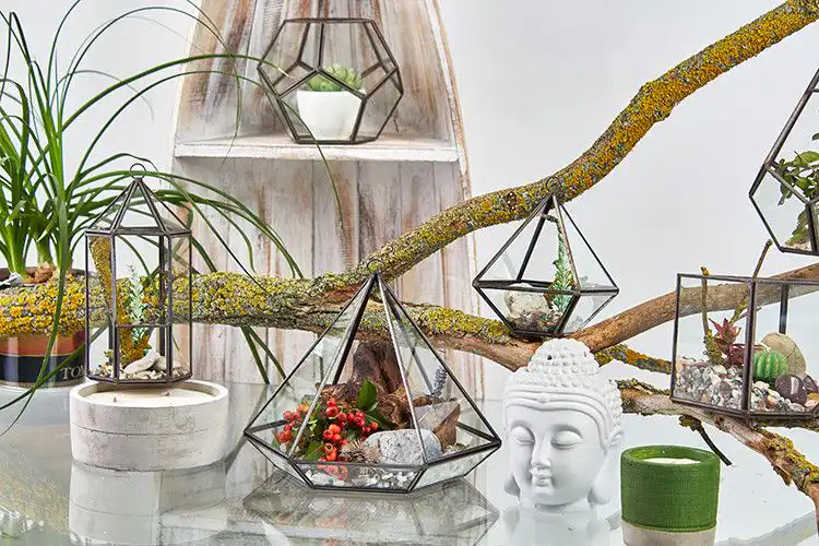 Glass Terrarium – Small Diamond | www.artisangoods.co.uk 6 Glass Terrarium – Small Diamond | www.artisangoods.co.uk 5
