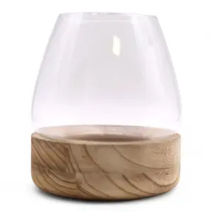 Large Terrarium on Natural Tung Wood | www.artisangoods.co.uk 2