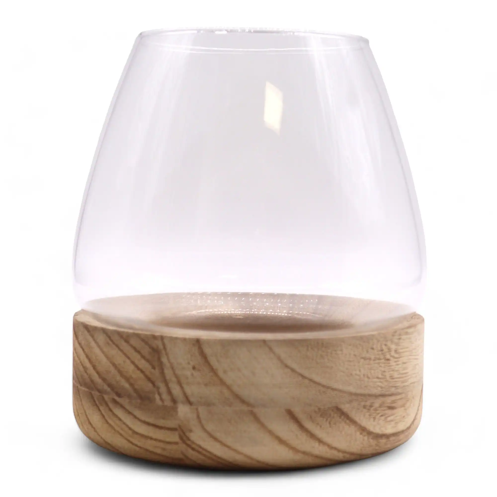 Large Terrarium on Natural Tung Wood | www.artisangoods.co.uk 3 Large Terrarium on Natural Tung Wood | www.artisangoods.co.uk 2