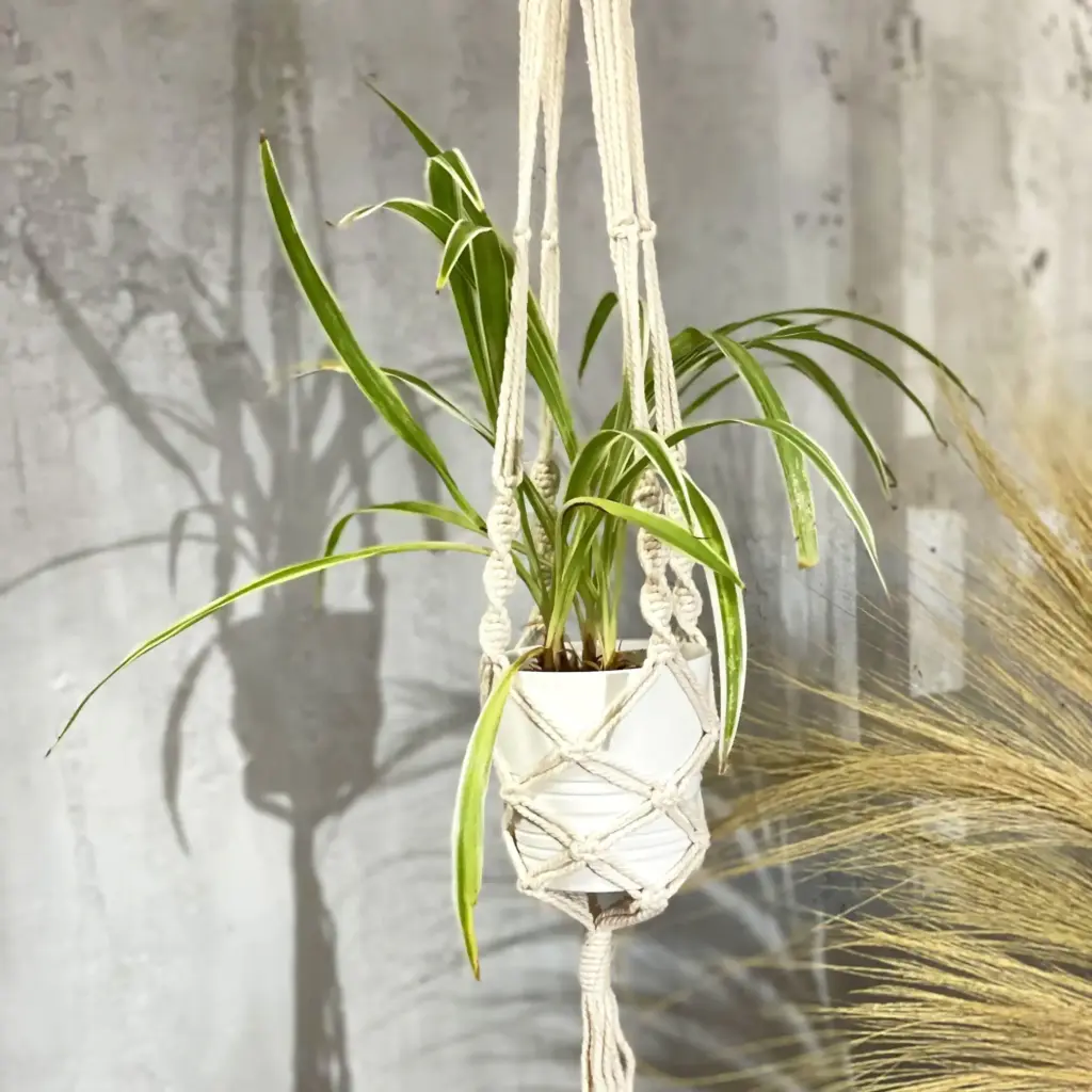 Macrame Pot Holder – Large Pot Holder – Extra Long | www.artisangoods.co.uk 6 Macrame Pot Holder – Large Pot Holder – Extra Long | www.artisangoods.co.uk 6