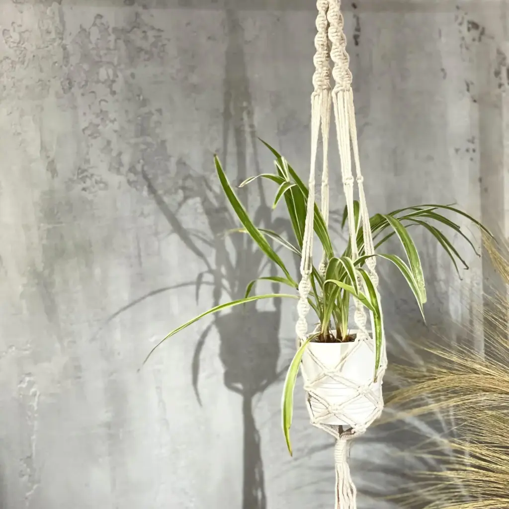 Macrame Pot Holder – Large Pot Holder – Extra Long | www.artisangoods.co.uk 5 Macrame Pot Holder – Large Pot Holder – Extra Long | www.artisangoods.co.uk 5