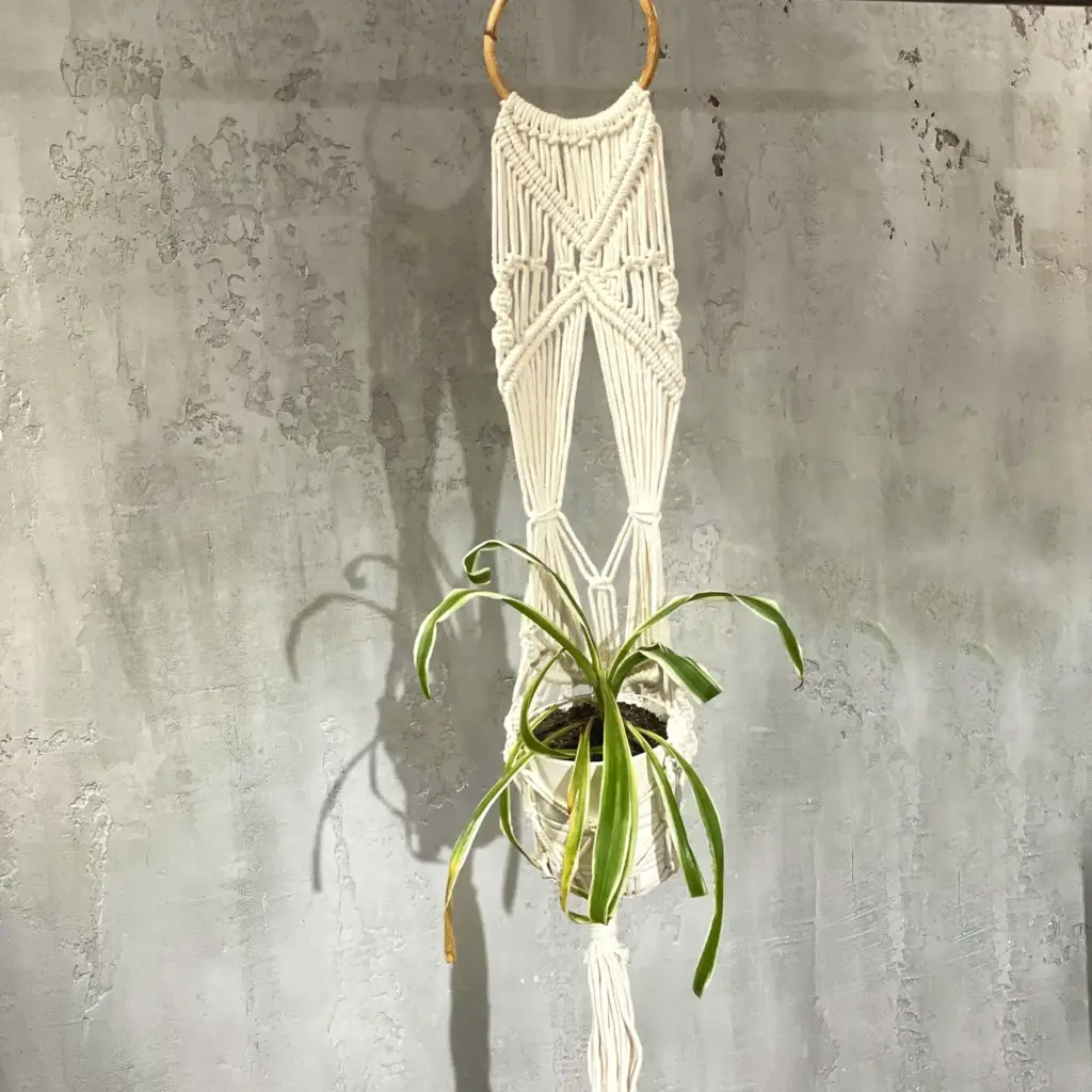 Macrame Pot Holder – Long With Ratten Hoop | www.artisangoods.co.uk 6 Macrame Pot Holder – Long With Ratten Hoop | www.artisangoods.co.uk 6