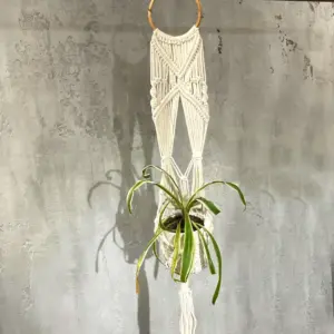 Macrame Pot Holder – Long With Ratten Hoop | www.artisangoods.co.uk 6