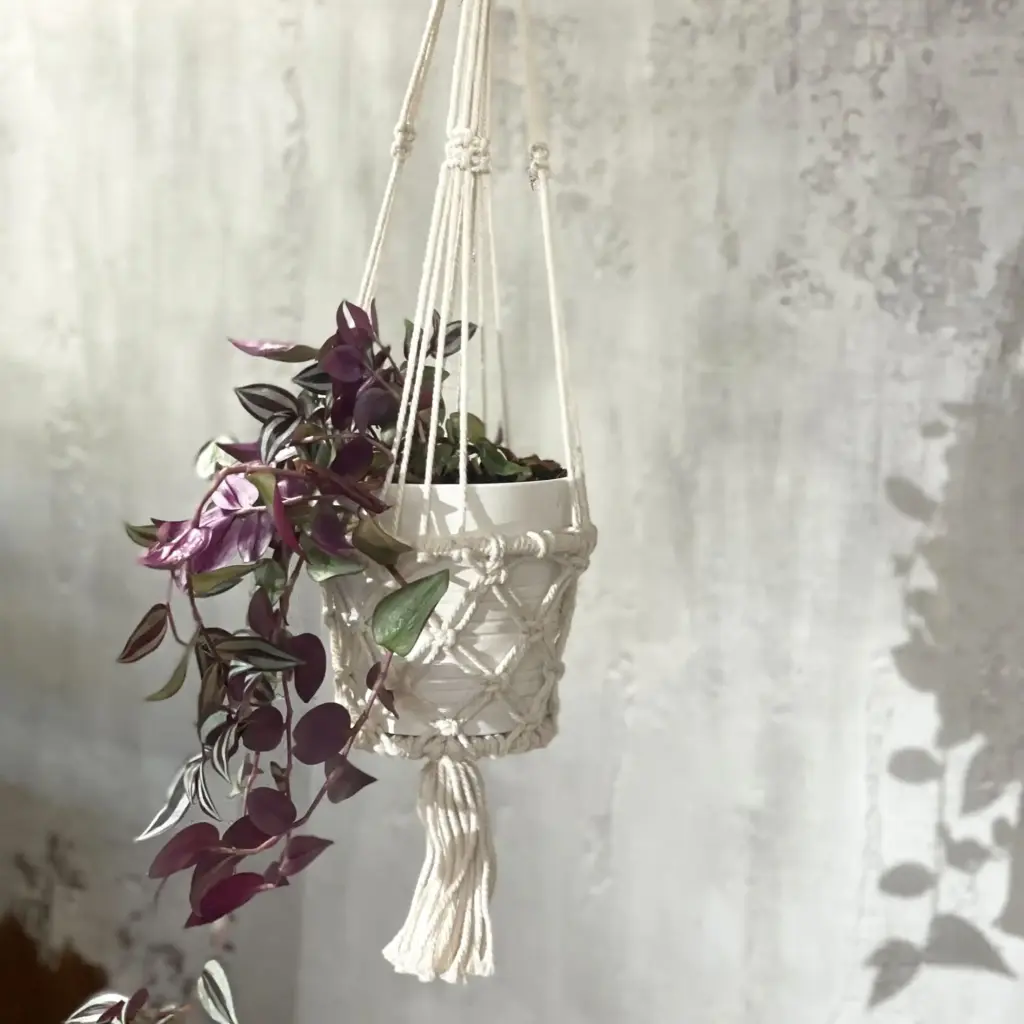 Macrame Pot Holder – Single Small Pot | www.artisangoods.co.uk 10