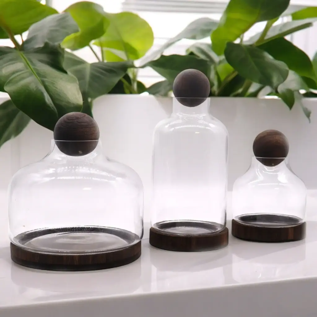Medium Ball Top Terrarium on Dark Tung Wood | www.artisangoods.co.uk 3