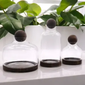 Medium Ball Top Terrarium on Dark Tung Wood | www.artisangoods.co.uk 3