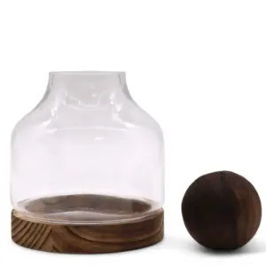 Medium Ball Top Terrarium on Dark Tung Wood | www.artisangoods.co.uk 4