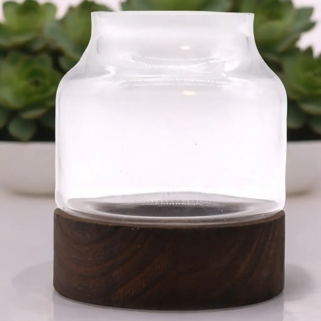 Medium Shaped Terrarium on Dark Tung Wood | www.artisangoods.co.uk