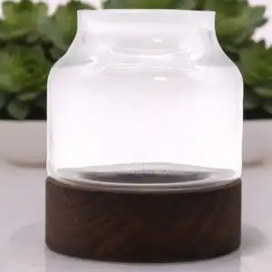 Medium Shaped Terrarium on Dark Tung Wood | www.artisangoods.co.uk 1
