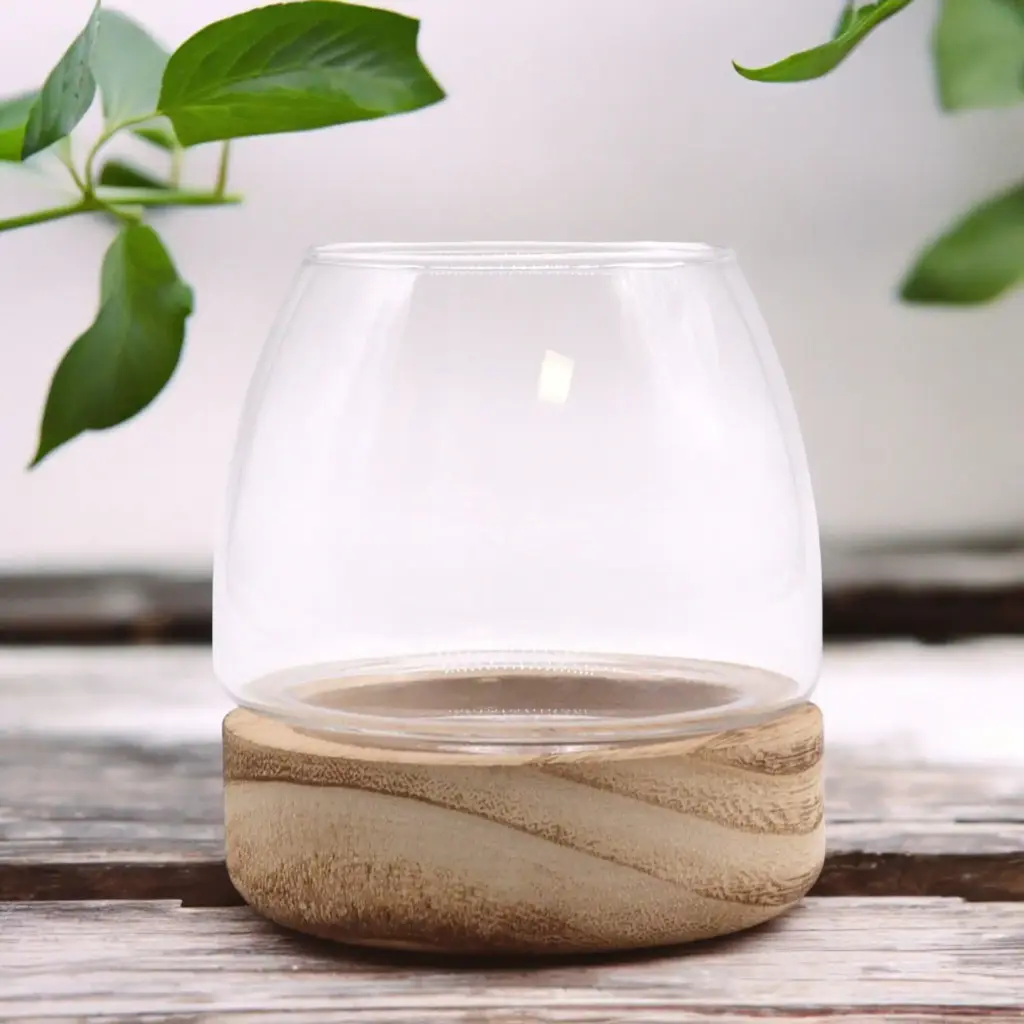 Mini Terrarium on Natural Tung Wood | www.artisangoods.co.uk