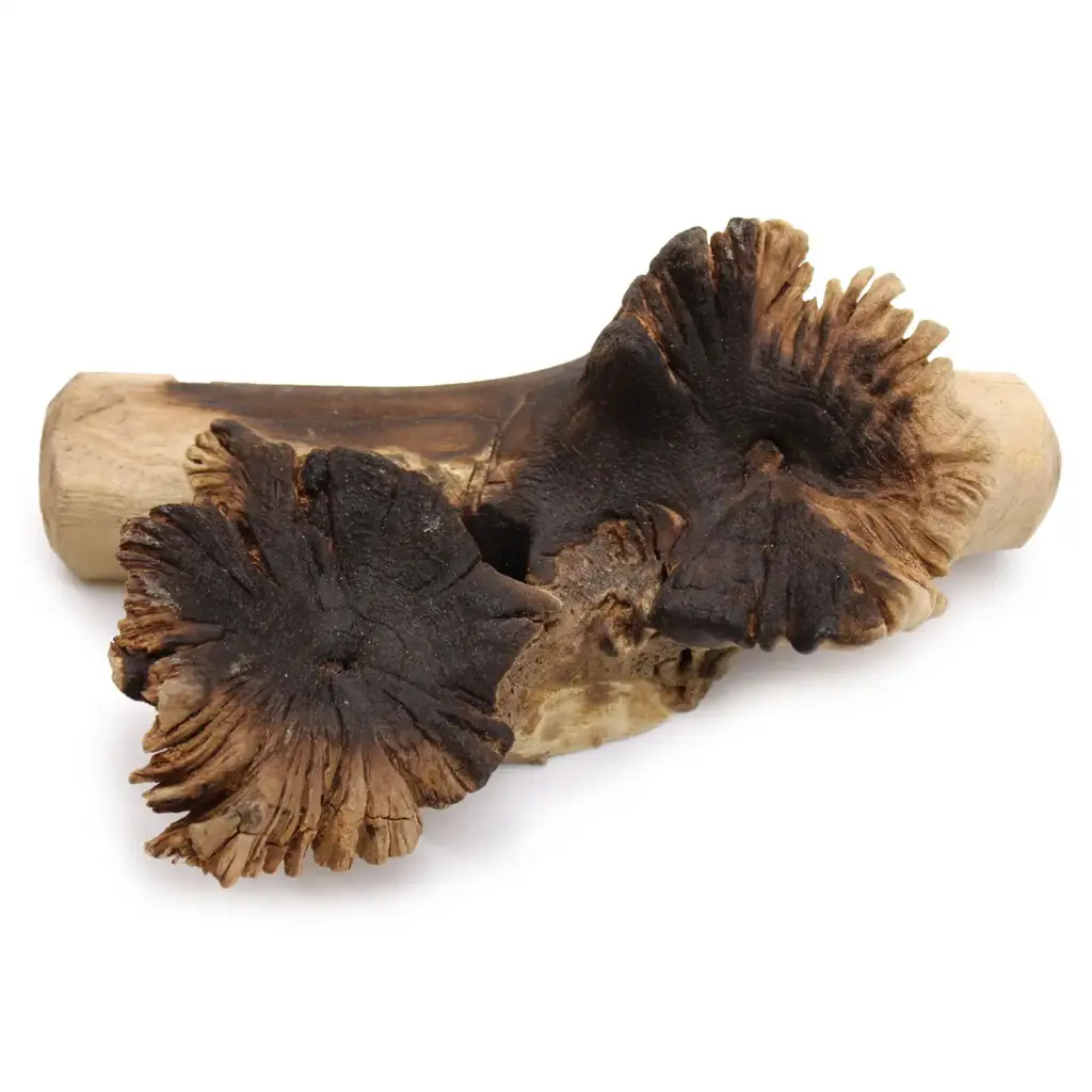 Molten Glass on Rare Parasite Wood | www.artisangoods.co.uk 2