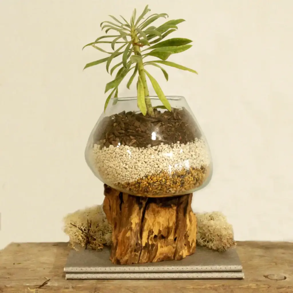 Molten Glass on Wood – Large Bowl | www.artisangoods.co.uk 6