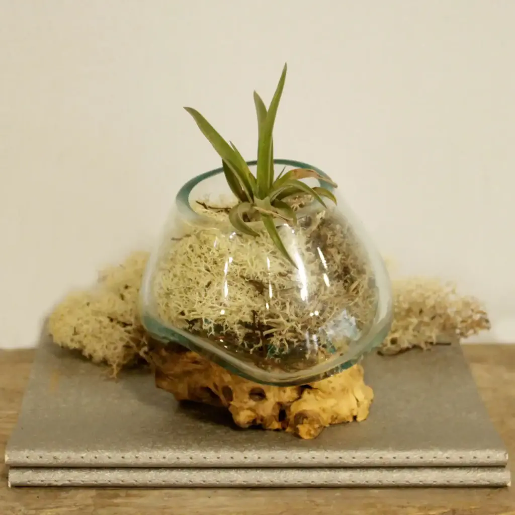 Molten Glass on Wood – Small Bowl | www.artisangoods.co.uk 7