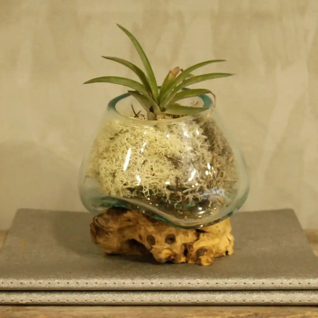 Molten Glass on Wood – Small Bowl | www.artisangoods.co.uk 6