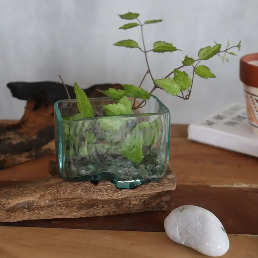 Molten Glass Tank on Wood with Stand – Small Bowl | www.artisangoods.co.uk 5