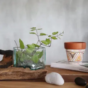 Molten Glass Tank on Wood with Stand – Small Bowl | www.artisangoods.co.uk 6