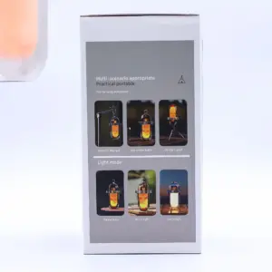 Outdoor Flame Effect Lamp – White USB – C Chargable – Multi Colour | www.artisangoods.co.uk 9