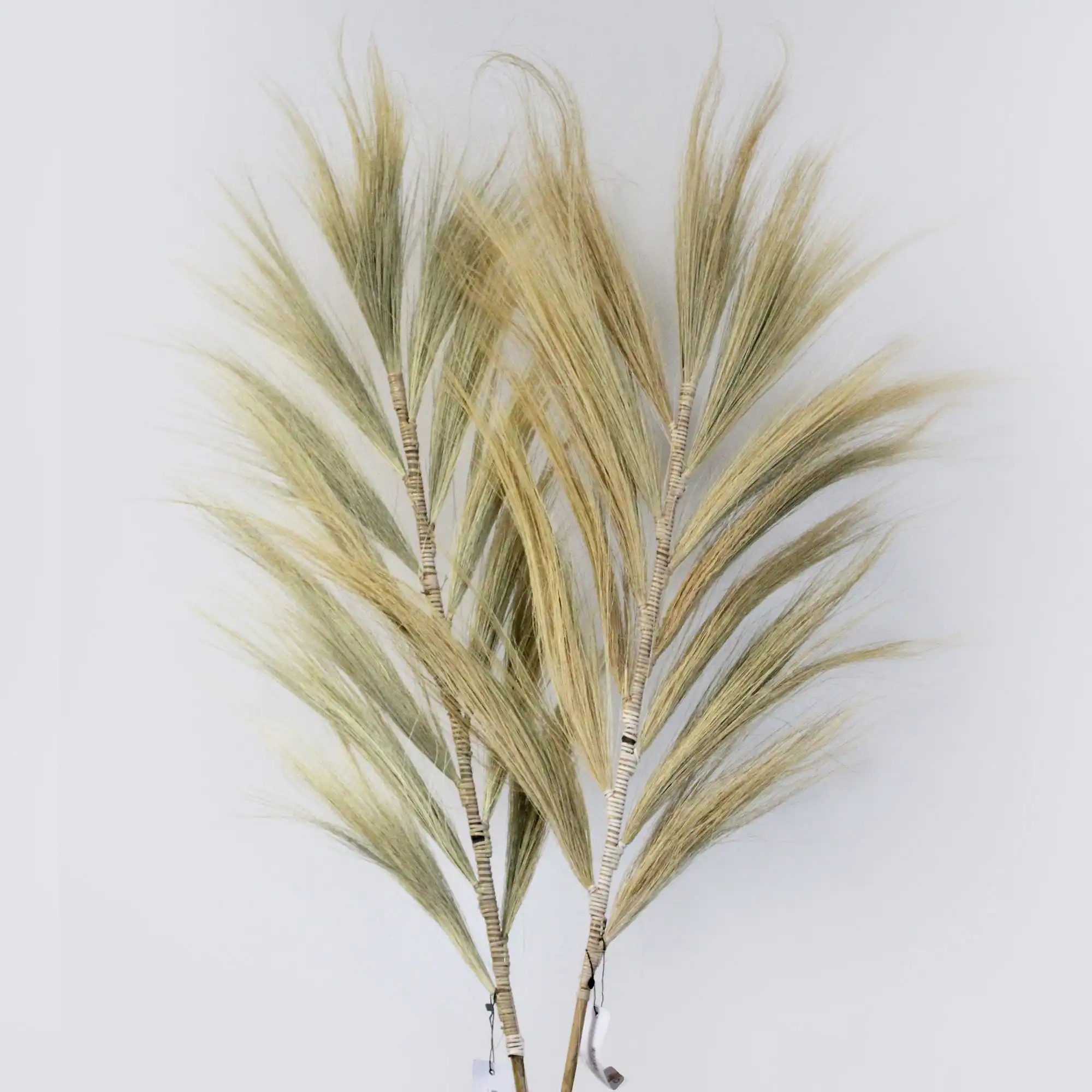 Rayung Grass Blond – 2m | www.artisangoods.co.uk 2 Rayung Grass Blond – 2m | www.artisangoods.co.uk 1