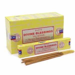 Satya Incense Sticks 15g – Divine Blessing | www.artisangoods.co.uk 1