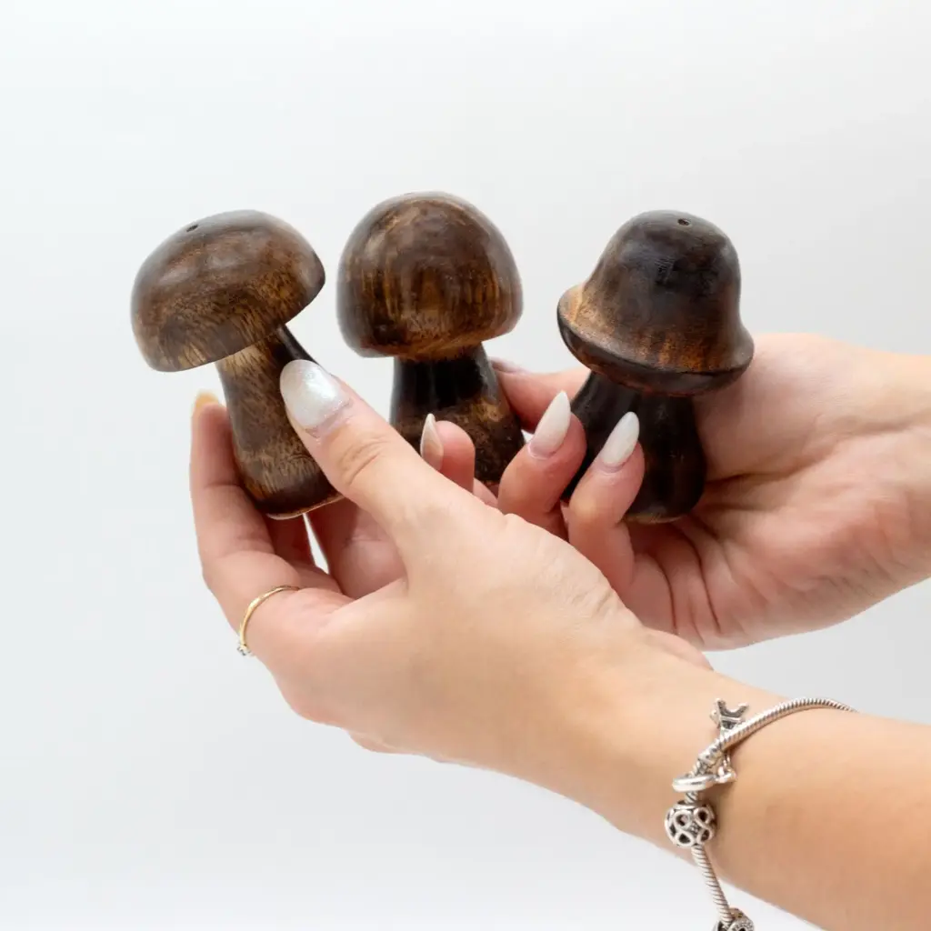 Set of 3 Mini Incense Mushrooms (8cm 7cm 6.5cm) | www.artisangoods.co.uk 6