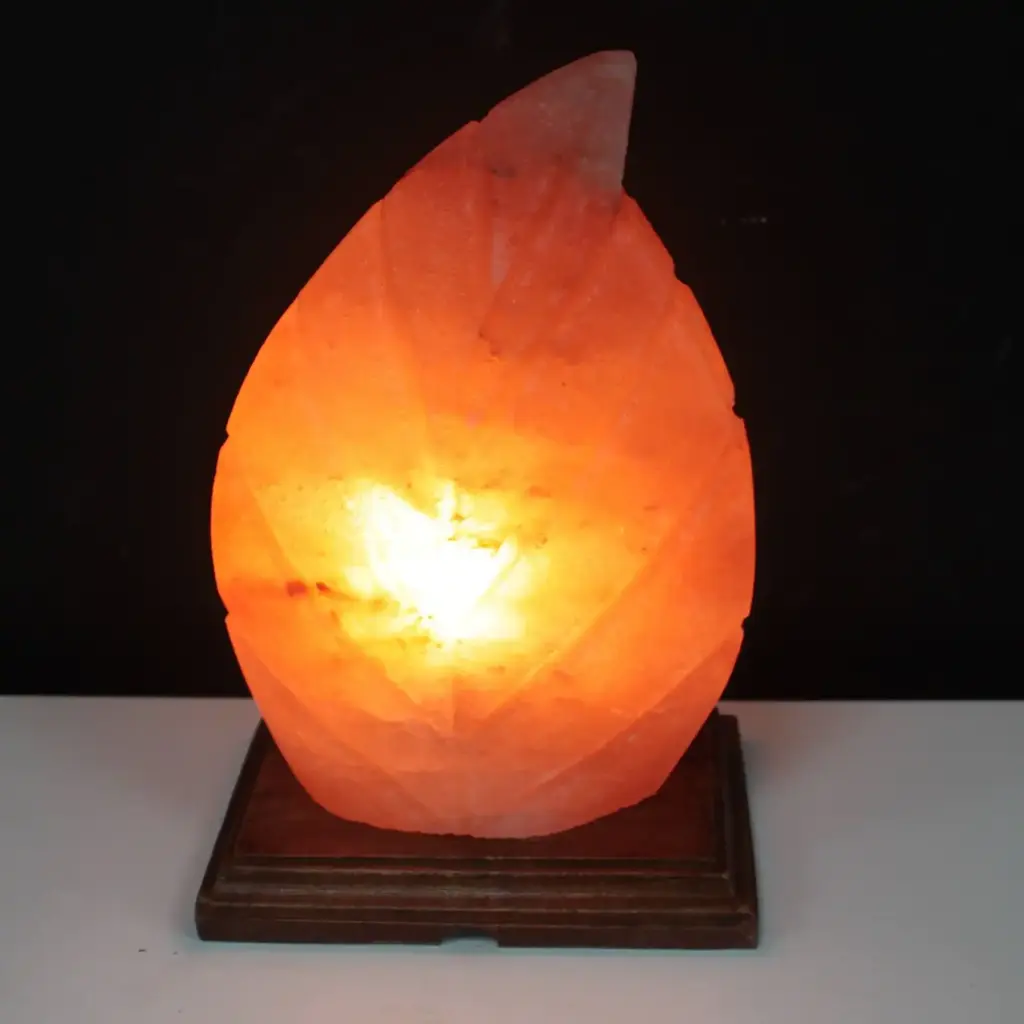 Shape Salt Lamp – Fern | www.artisangoods.co.uk 3