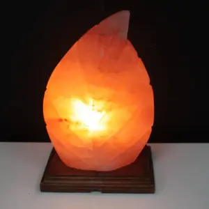 Shape Salt Lamp – Fern | www.artisangoods.co.uk 3
