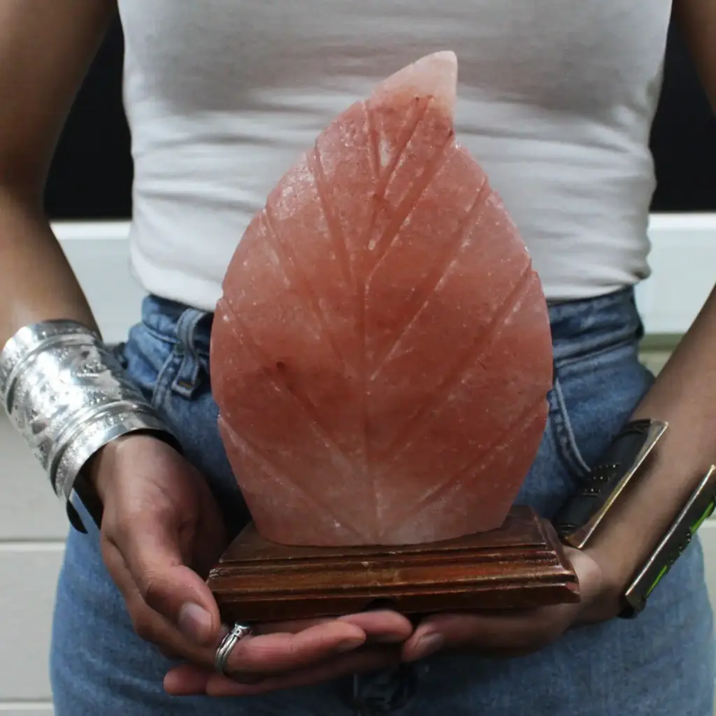 Shape Salt Lamp – Fern | www.artisangoods.co.uk 4