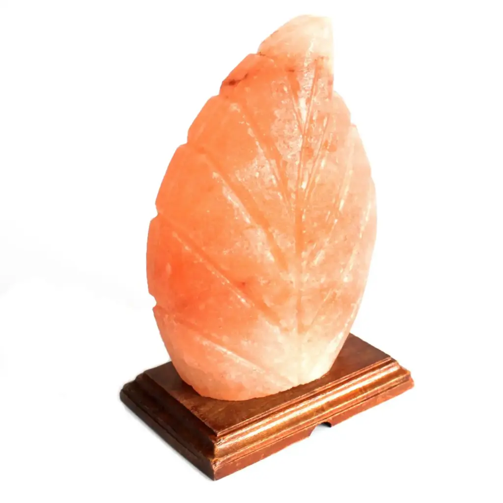 Shape Salt Lamp – Fern | www.artisangoods.co.uk 2