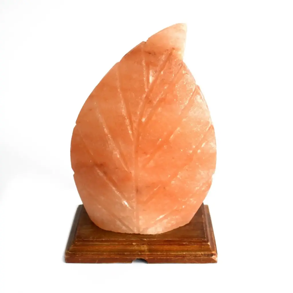 Shape Salt Lamp – Fern | www.artisangoods.co.uk