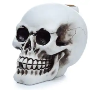 Skull Backflow Incense Burner | www.artisangoods.co.uk 1
