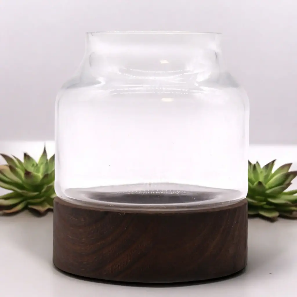 Small Shaped Terrarium on Dark Tung Wood | www.artisangoods.co.uk