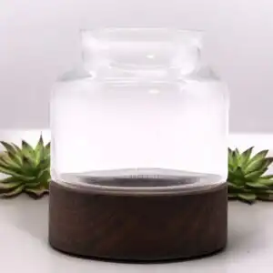 Small Shaped Terrarium on Dark Tung Wood | www.artisangoods.co.uk 1