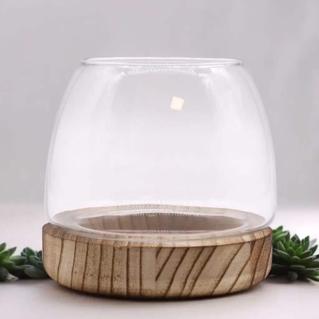 Small Terrarium on Natural Tung Wood | www.artisangoods.co.uk