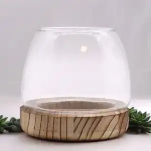 Small Terrarium on Natural Tung Wood | www.artisangoods.co.uk 1