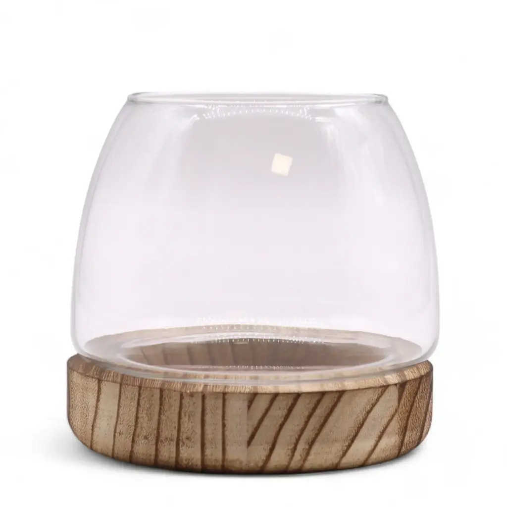 Small Terrarium on Natural Tung Wood | www.artisangoods.co.uk 2 Small Terrarium on Natural Tung Wood | www.artisangoods.co.uk 2