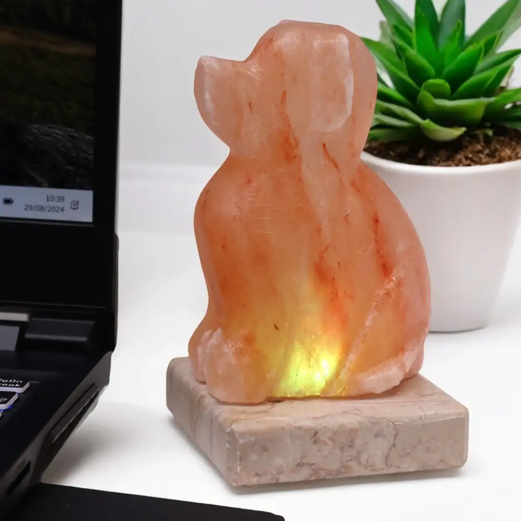 USB Dog Shaped (Multi) | www.artisangoods.co.uk