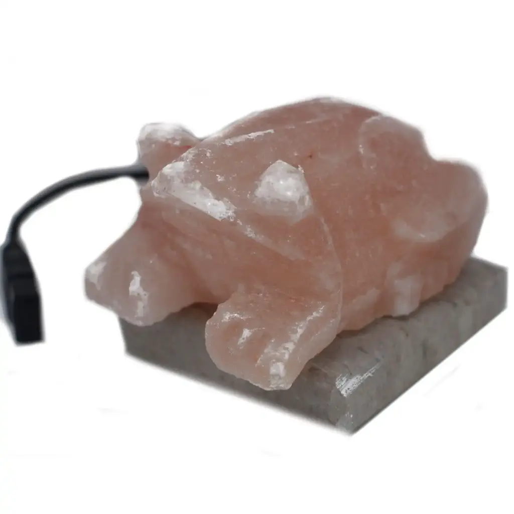 USB Toad Shaped (Multi) | www.artisangoods.co.uk 3