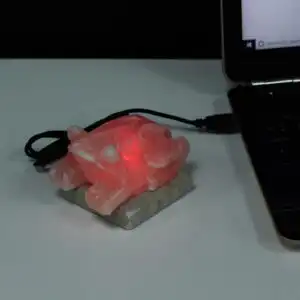 USB Toad Shaped (Multi) | www.artisangoods.co.uk 1
