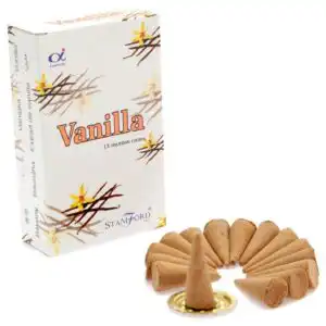 Vanilla Cones | www.artisangoods.co.uk 1
