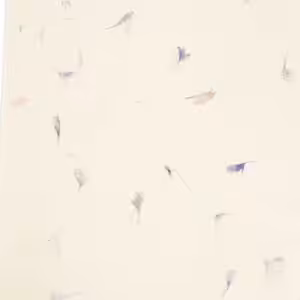 A4 – Lokta Craft Paper (20 sheet pack) – Cornflower | www.artisangoods.co.uk A4 - Lokta Craft Paper (20 sheet pack) - Cornflower
