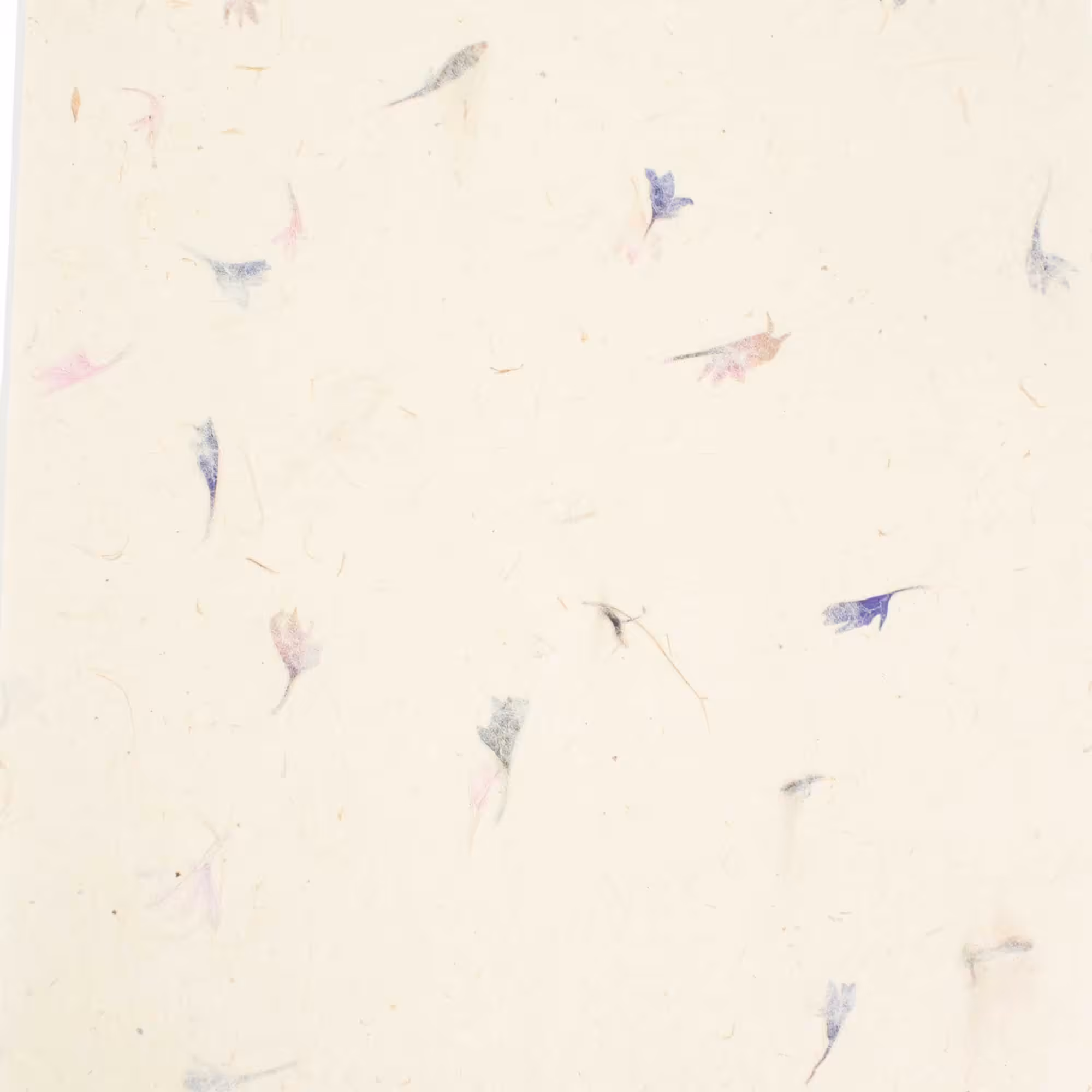 A4 – Lokta Craft Paper (20 sheet pack) – Cornflower | www.artisangoods.co.uk 2 A4 - Lokta Craft Paper (20 sheet pack) - Cornflower