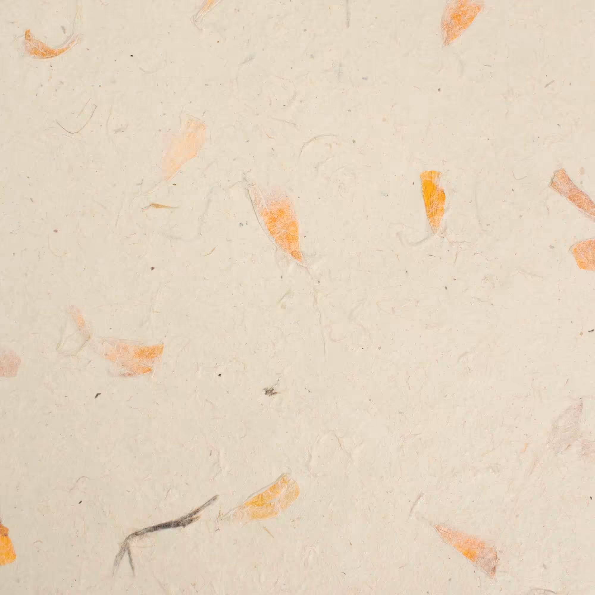 A4 – Lokta Craft Paper (20 sheet pack) – Marigold | www.artisangoods.co.uk 2 A4 - Lokta Craft Paper (20 sheet pack) - Marigold
